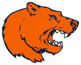 st. gallen bears logo https://corto.live/wp-content/uploads/2025/05/st.-gallen-bears-logo-320x256.png