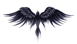 asvz logo https://corto.live/wp-content/uploads/2025/06/asvz-logo-320x184.png