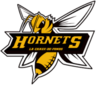 https://corto.live/wp-content/uploads/2026/05/hornets.png