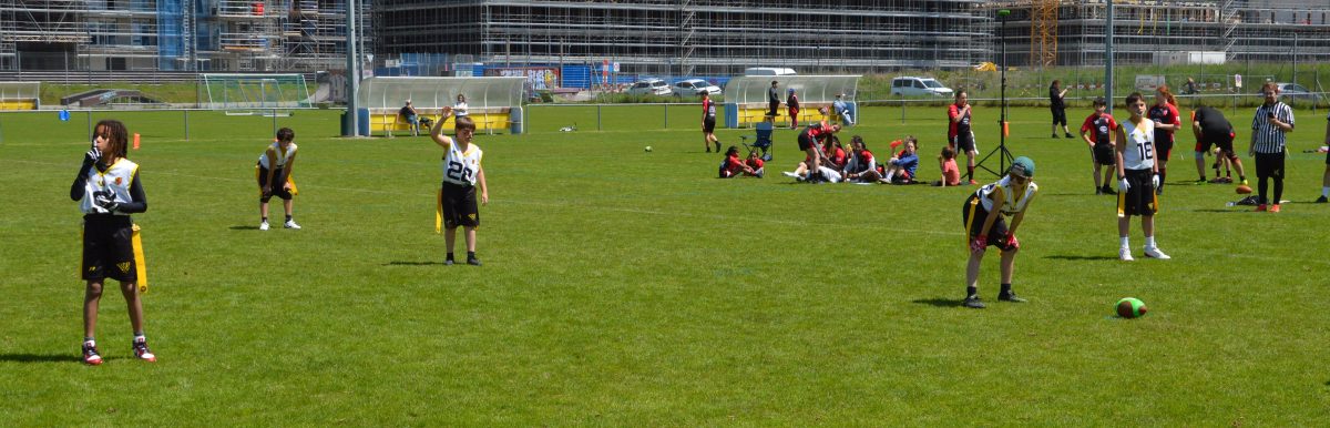 Whoppers Flag U13