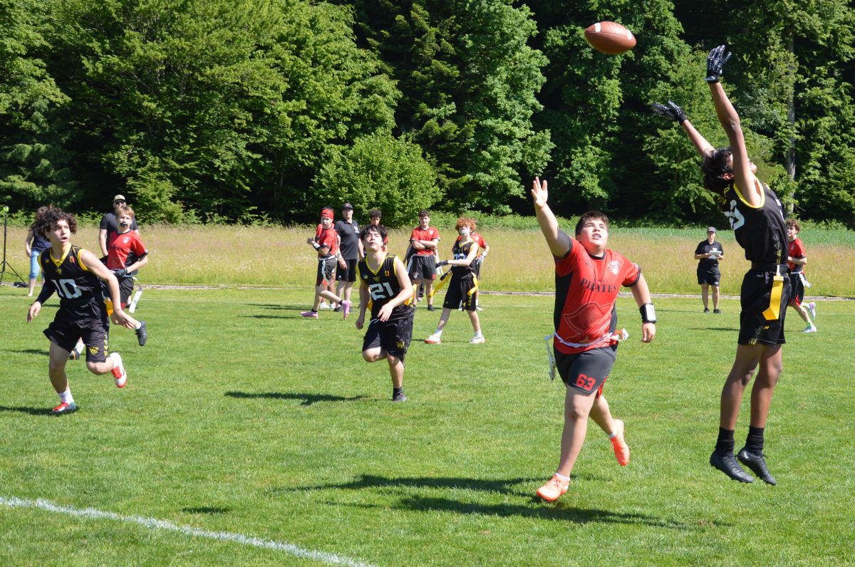 Whoppers U16
