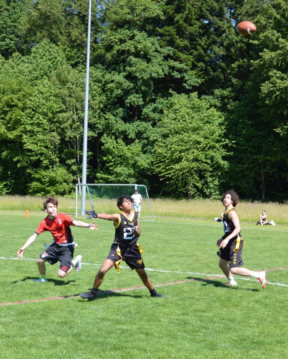 Whoppers U16