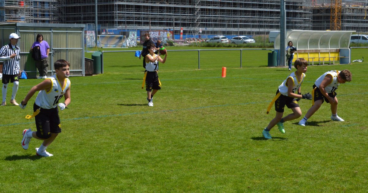 Whoppers Flag U13