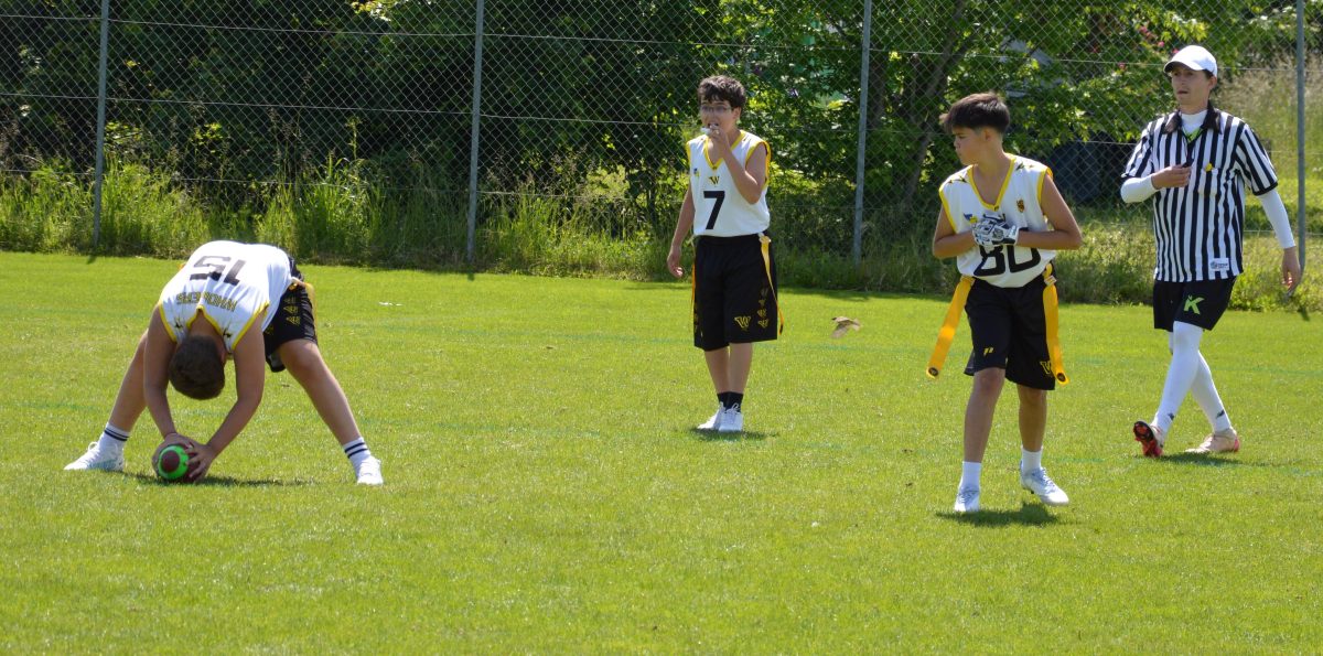 Whoppers Flag U13
