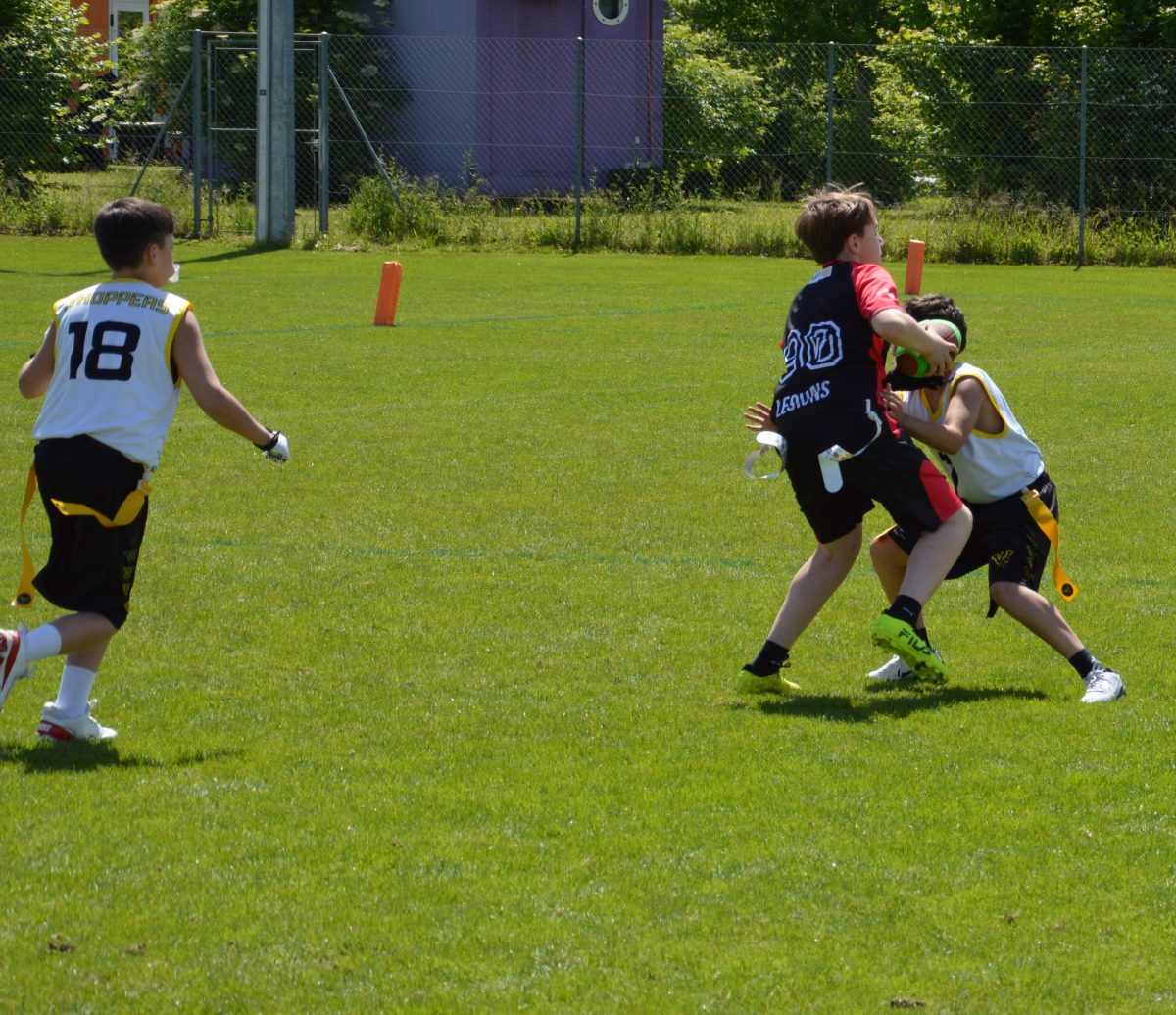 Whoppers Flag U13