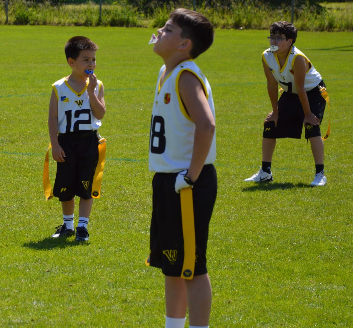Whoppers Flag U13