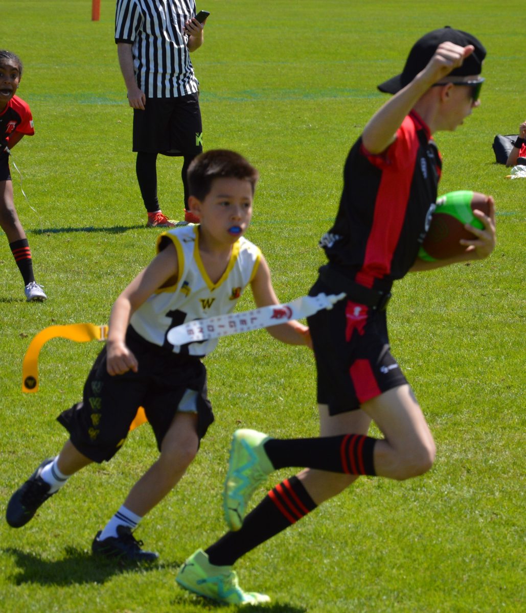 Whoppers Flag U13