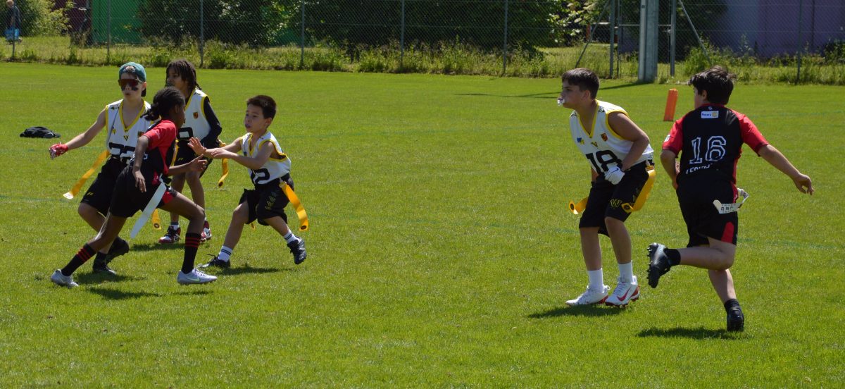 Whoppers Flag U13
